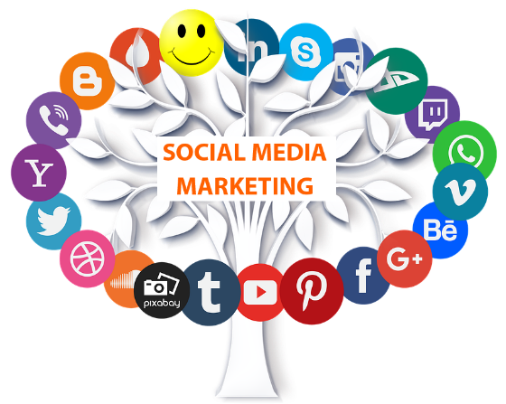 SMM: Social Media Marketing Company in Delhi, India